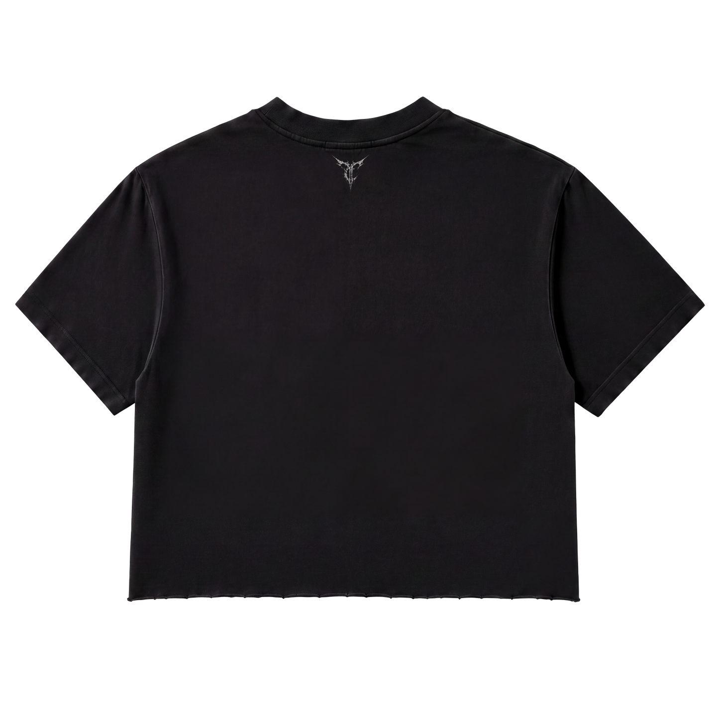 VEIL // Distressed T-shirt